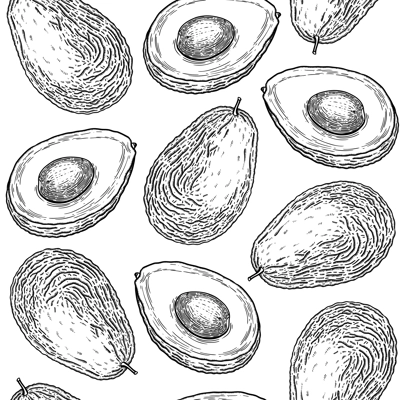 Hand drawn avocado fruits background design. Seamless healthy food pattern. Sketched vector illustration for textile, packaging, print. Whole avocado fruit, cut half piece with core backdrop.